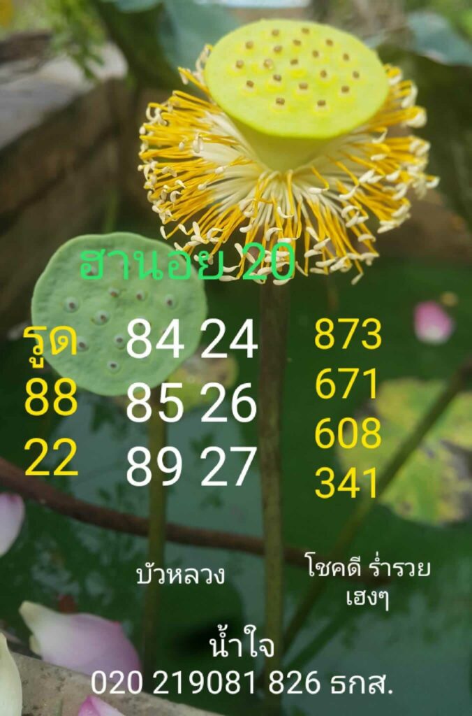แนวทางหวยฮานอย 20/5/66 ชุดที่ 6