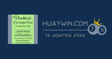 หวยใบเขียว 16/5/66