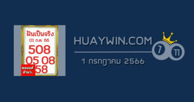 หวยฝันเป็นจริง 1/7/66