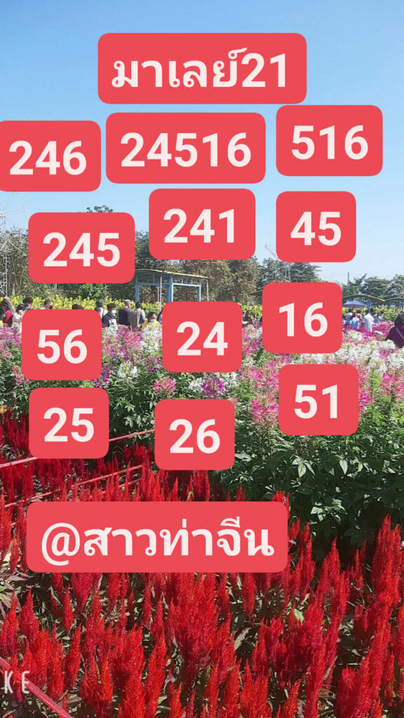 หวยมาเลย์วันนี้ 21/6/66 ชุดที่ 1