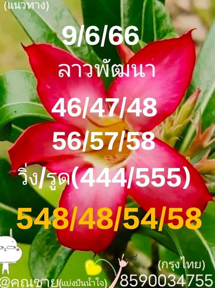 แนวทางหวยลาว 9/6/66 ชุดที่ 8