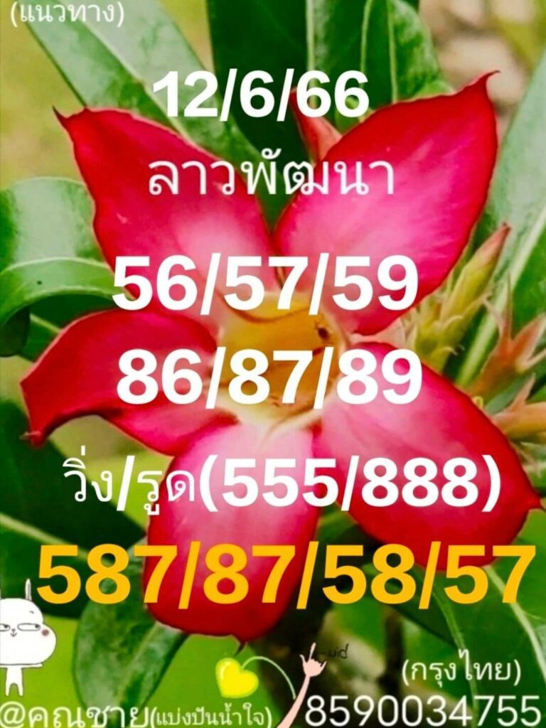 แนวทางหวยลาว 12/6/66 ชุดที่ 8