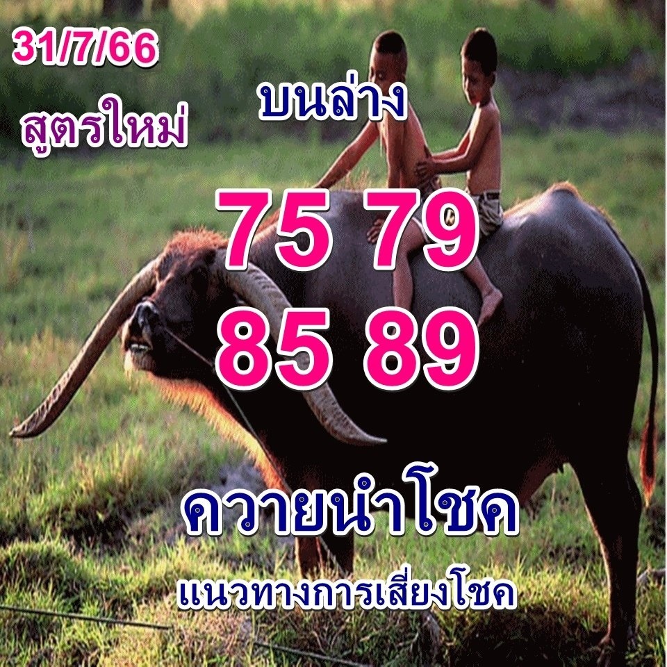 หวยควายนำโชค 31/7/66