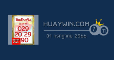 หวยฝันเป็นจริง 31/7/66