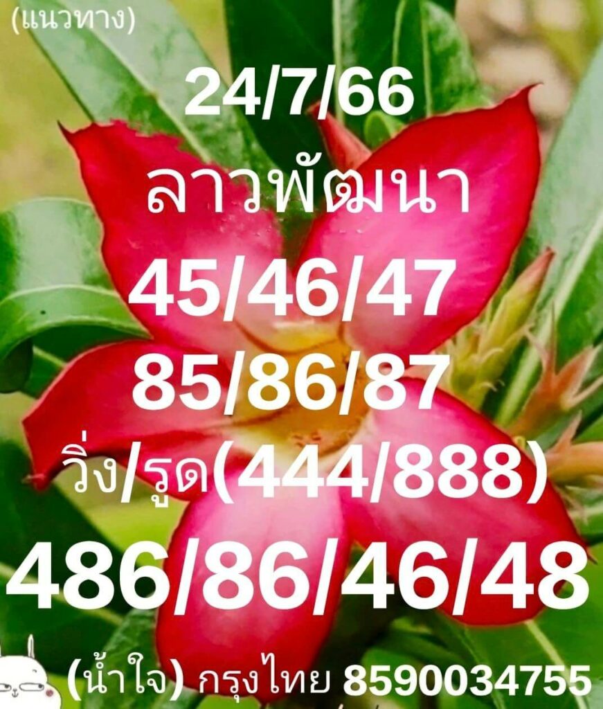 แนวทางหวยลาว 24/7/66 ชุดที่ 6