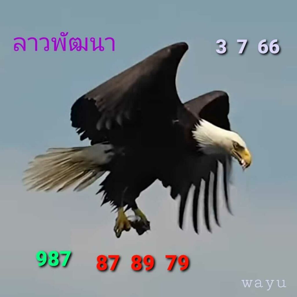 แนวทางหวยลาว 3/7/66 ชุดที่ 8