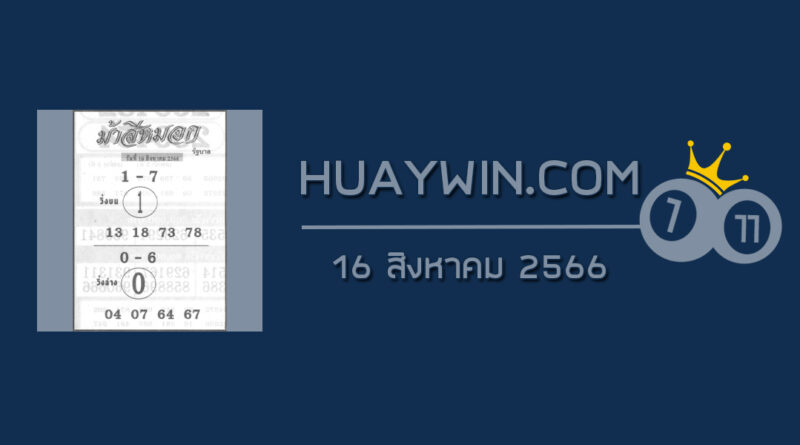 หวยม้าสีหมอก 16/8/66