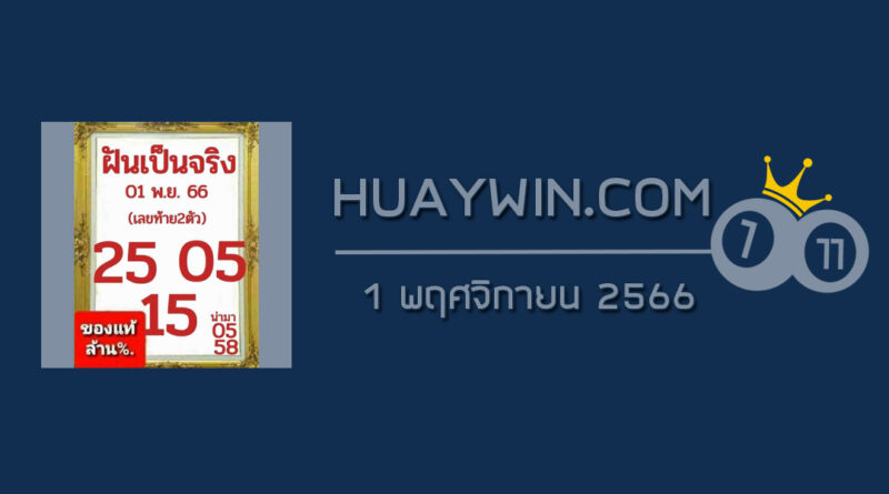 หวยฝันเป็นจริง 1/11/66