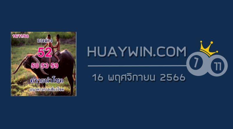 หวยควายนำโชค 16/11/66