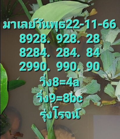 หวยมาเลย์วันนี้ 22/11/66 ชุดที่ 1