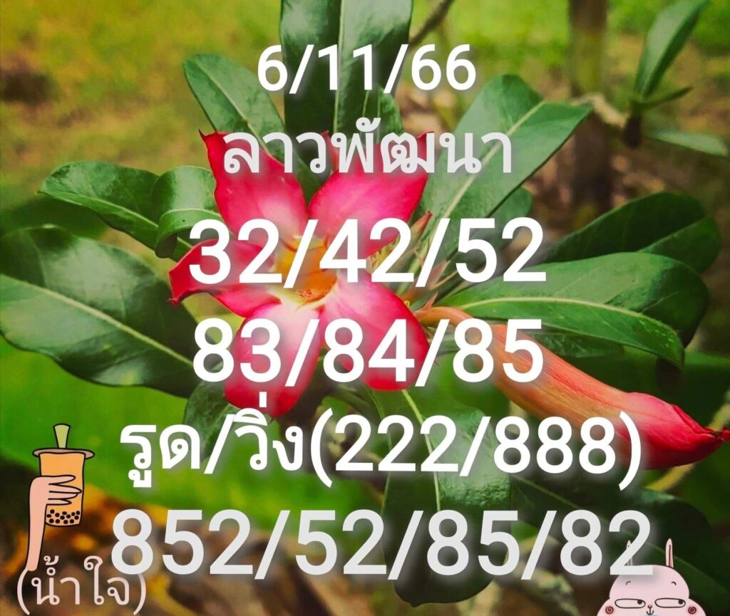 แนวทางหวยลาว 6/11/66 ชุดที่ 8