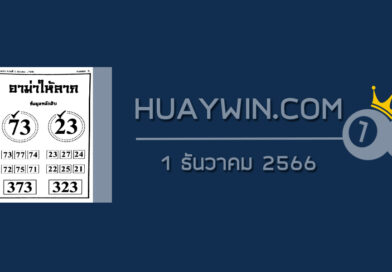หวยอามาให้ลาภ 1/12/66