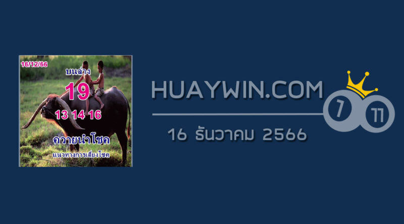 หวยควายนำโชค 16/12/66