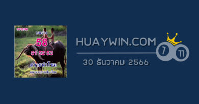 หวยควายนำโชค 30/12/66