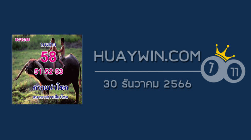 หวยควายนำโชค 30/12/66