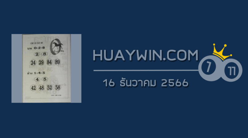 หวยม้านำโชค 16/12/66