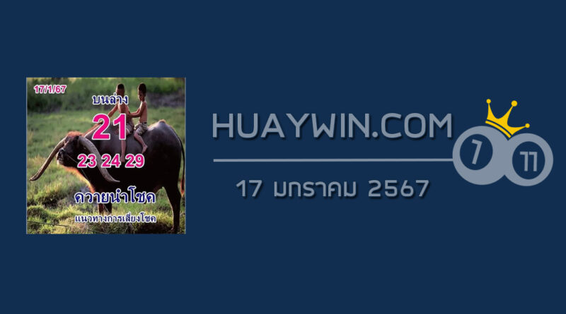 หวยควายนำโชค 17/1/67