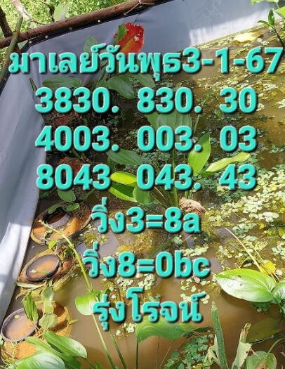 หวยมาเลย์วันนี้ 3/1/67 ชุดที่ 5