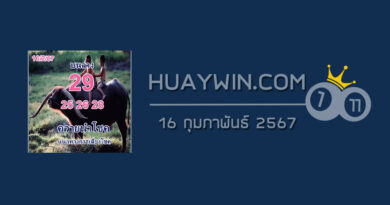 หวยควายนำโชค 16/2/67