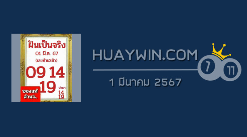 หวยฝันเป็นจริง 1/3/67